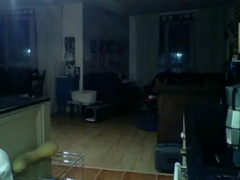 kevincumporn online show from November 2025 03:49:02 AM