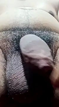 Arasu  online show from December 2024 01:31:02 AM