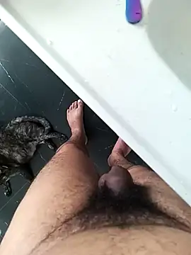 Arasu  online show from December 2024 11:41:02 AM