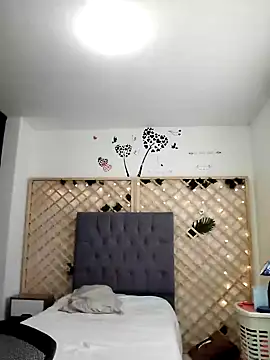 Snapshot of Mia_WAll chatting on January 2025 06:49:01 PM Mia WAll online show from January 2025 06:49:01 PM