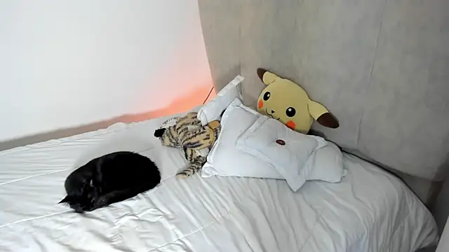 rachaeldeckard   online show from January 2025 08:10:02 AM