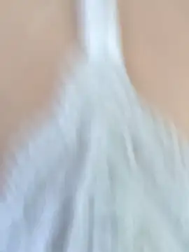 gabrielaycarlos online show from January 2025 06:01:02 PM