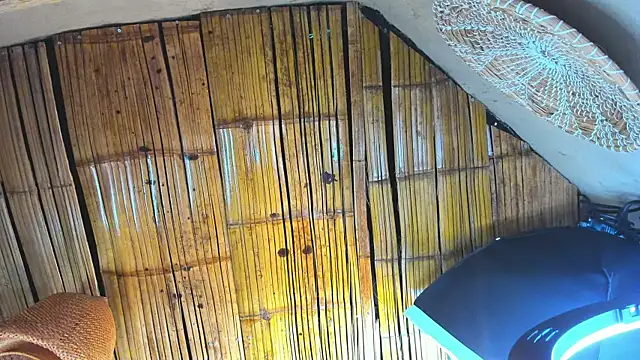 MarcoVitto online show from November 2025 07:13:02 PM