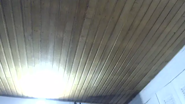 Snapshot of CamilaLix chatting on February 2025 11:37:01 PM CamilaLix online show from February 2025 11:37:01 PM