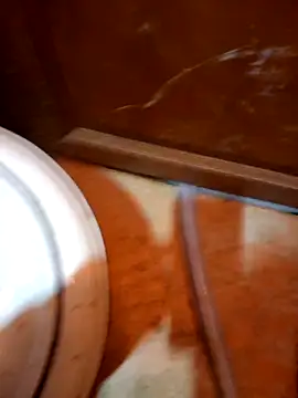 javierpasteur69 online show from October 2025 05:31:01 AM