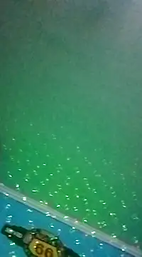 Elrep tile online show from March 2025 04:10:01 AM