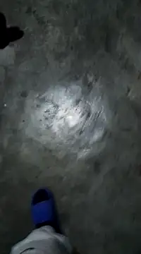 Snapshot of RODRI_POLLADURA chatting on January 2025 06:47:02 AM RODRI POLLADURA online show from January 2025 06:47:02 AM