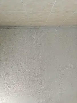 boobsTaylor online show from September 2025 06:53:02 PM