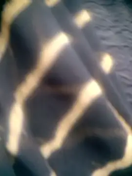 Amaya Bajwa online show from December 2025 04:39:02 AM