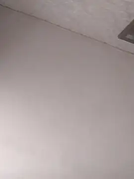 Lauren Amabel online show from January 2025 11:27:02 AM