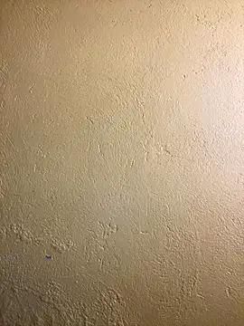 triplebeast online show from September 2025 09:53:02 AM