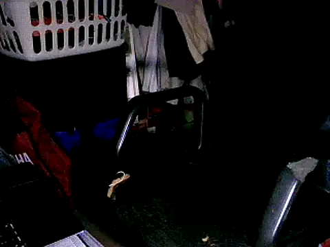 SergCarMX1 online show from October 2025 08:50:02 PM