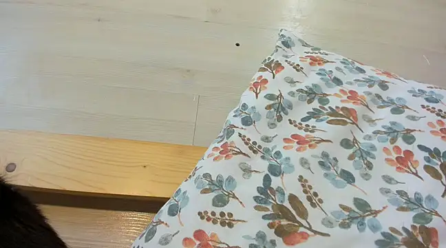 Snapshot of CRISTIINA38 chatting on January 2025 12:55:01 PM CRISTIINA38 online show from January 2025 12:55:01 PM