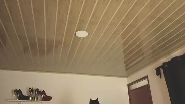 Renaxi Smith online show from October 2025 07:59:01 PM