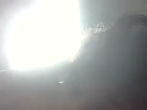 Snapshot of it0z_klk chatting on January 2025 02:30:02 PM it0z klk online show from January 2025 02:30:02 PM