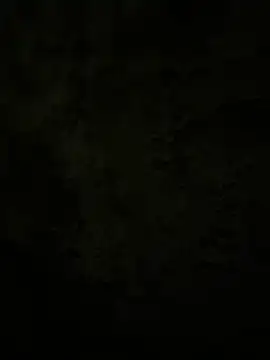 Lilymoonshow online show from February 2025 02:31:01 AM