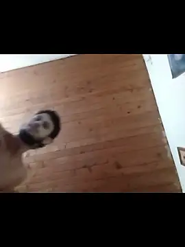 nxus77 online show from December 2025 06:39:02 AM