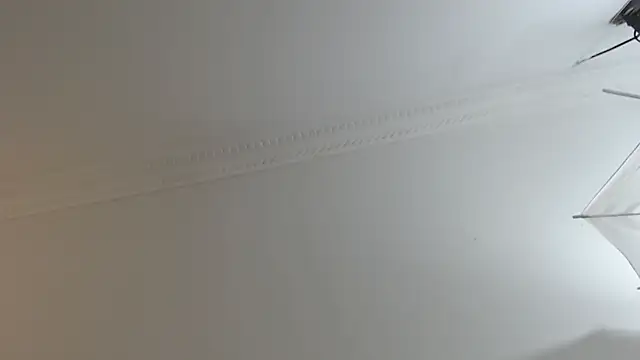 Snapshot of BrandonColee chatting on February 2025 12:29:01 PM BrandonColee online show from February 2025 12:29:01 PM