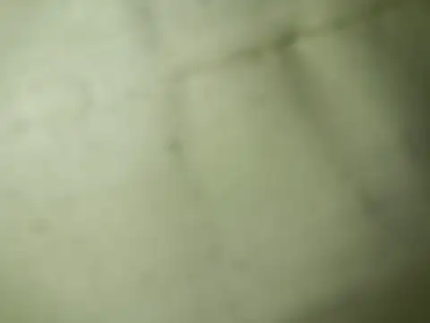 Ktosik88 online show from January 2026 07:50:02 PM