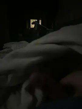 xnxpork online show from January 2025 04:10:01 AM