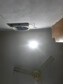 DrakeVega online show from January 2025 09:50:01 PM