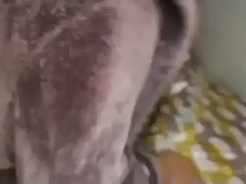 Chandy012 online show from September 2025 01:12:02 PM