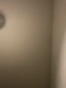 PerroDemonioHot online show from January 2025 04:21:01 AM