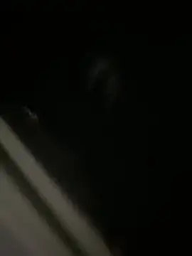 PerroDemonioHot online show from February 2025 02:54:02 PM