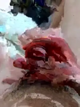 pussyhoneyhot online show from February 2026 09:00:02 PM