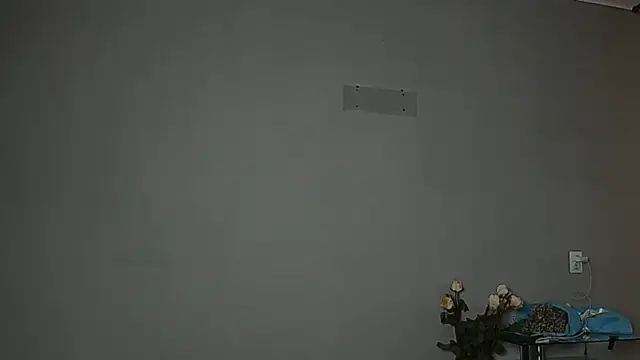 Snapshot of Eva_Gloryy chatting on October 2025 11:18:02 AM Eva Gloryy online show from October 2025 11:18:02 AM