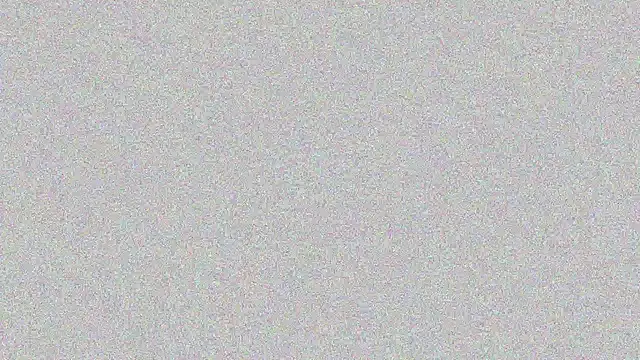 Snapshot of Elsa-bad chatting on February 2025 11:24:02 PM Elsa-bad online show from February 2025 11:24:02 PM