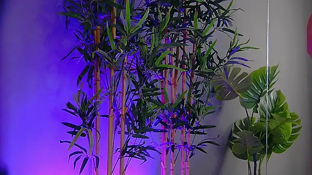 PatriciaSpice online show from November 2025 05:28:02 AM