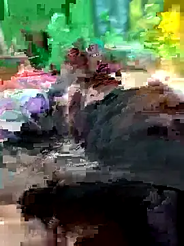 Raj41 online show from February 2026 11:51:01 AM