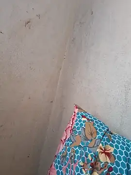 novinhatransexy online show from November 2025 05:57:01 PM