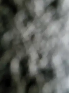 j0nathan00 online show from February 2025 04:58:01 PM