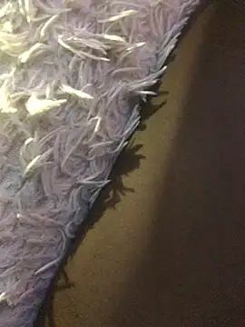 staroill online show from February 2025 11:42:02 AM