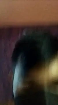 Snapshot of randit7 chatting on January 2025 02:42:02 AM randit7 online show from January 2025 02:42:02 AM