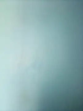 Snapshot of randit7 chatting on March 2025 06:35:02 AM randit7 online show from March 2025 06:35:02 AM