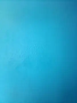 Snapshot of randit7 chatting on March 2025 11:29:02 AM randit7 online show from March 2025 11:29:02 AM