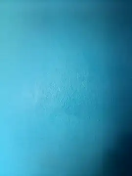 Snapshot of randit7 chatting on March 2025 11:05:01 AM randit7 online show from March 2025 11:05:01 AM