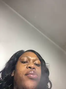 Boneca25 online show from April 2026 08:28:01 PM