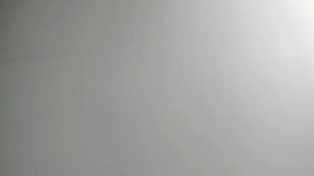 Snapshot of Tombarden chatting on February 2025 03:51:02 PM Tombarden online show from February 2025 03:51:02 PM