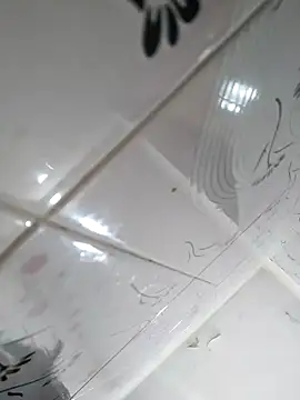 Snapshot of letsfunss008 chatting on February 2025 08:56:01 PM letsfunss008 online show from February 2025 08:56:01 PM