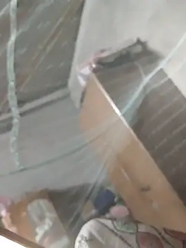 Snapshot of birds0641 chatting on March 2026 07:36:02 PM birds0641 online show from March 2026 07:36:02 PM