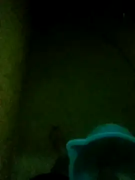 Snapshot of Night_View chatting on November 2025 05:33:02 PM Night View online show from November 2025 05:33:02 PM