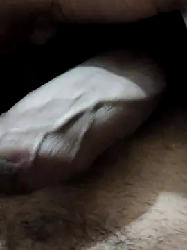 suggest121 online show from November 2025 05:17:01 AM