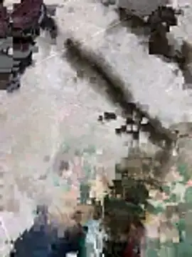 suggest121 online show from November 2025 09:53:01 AM