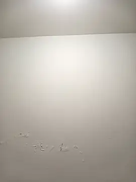 Sophia Dupontx online show from November 2025 06:32:01 PM