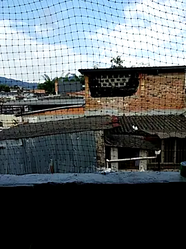 Niick01  online show from November 2025 08:40:02 PM