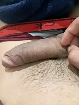 blzin20 online show from February 2025 03:43:02 AM